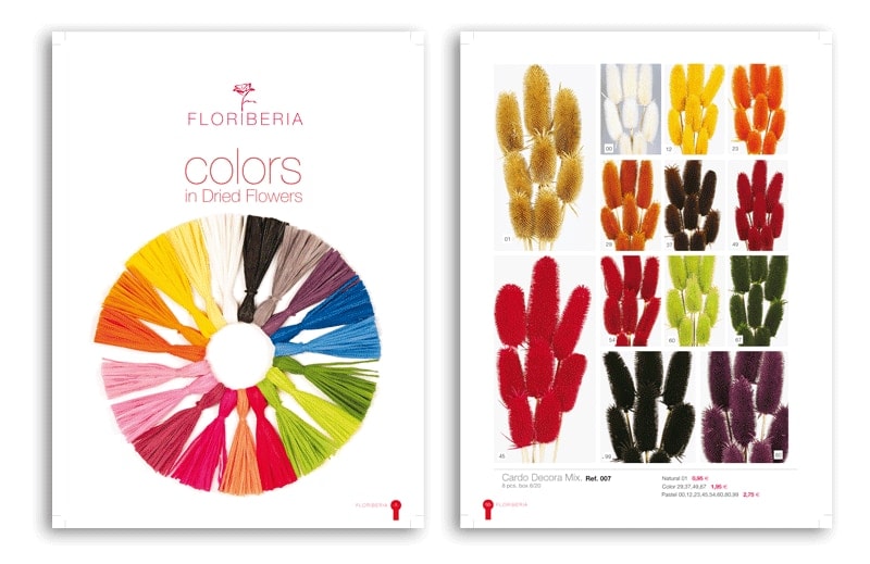 Disseny catàleg FLORIBERIA - Top Imatge Badalona