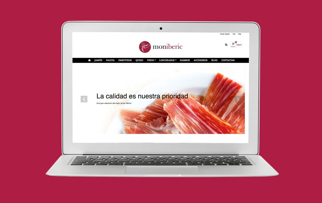 Disseny web MONIBERIC - Top Imatge Badalona